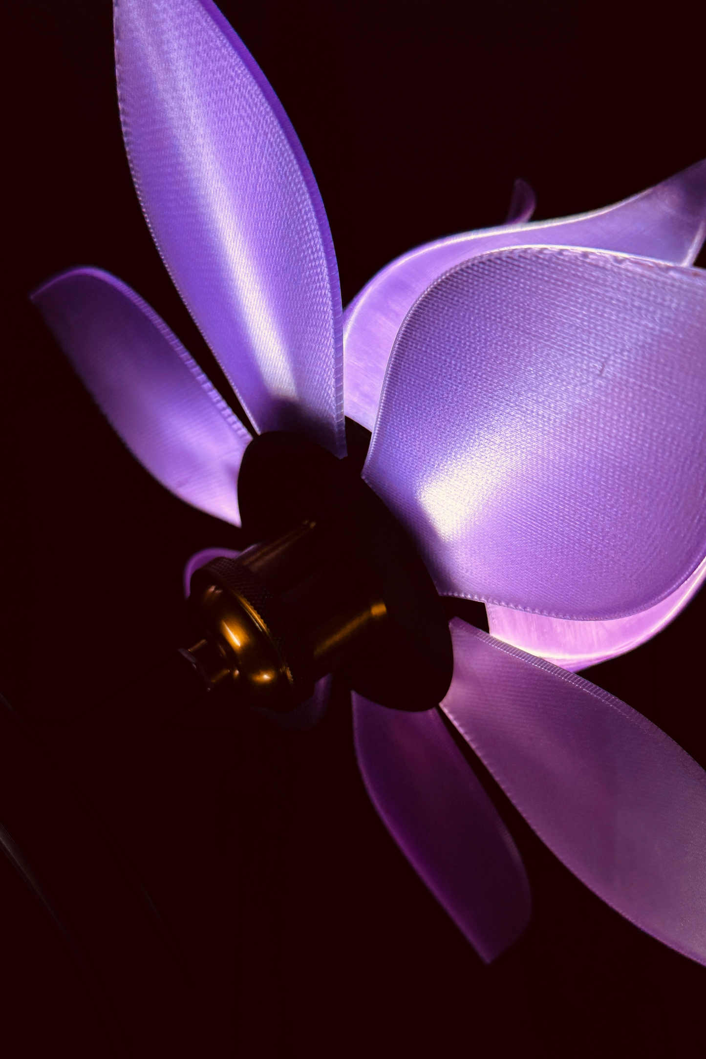 Six Lotus Collection - Lotus Lamp