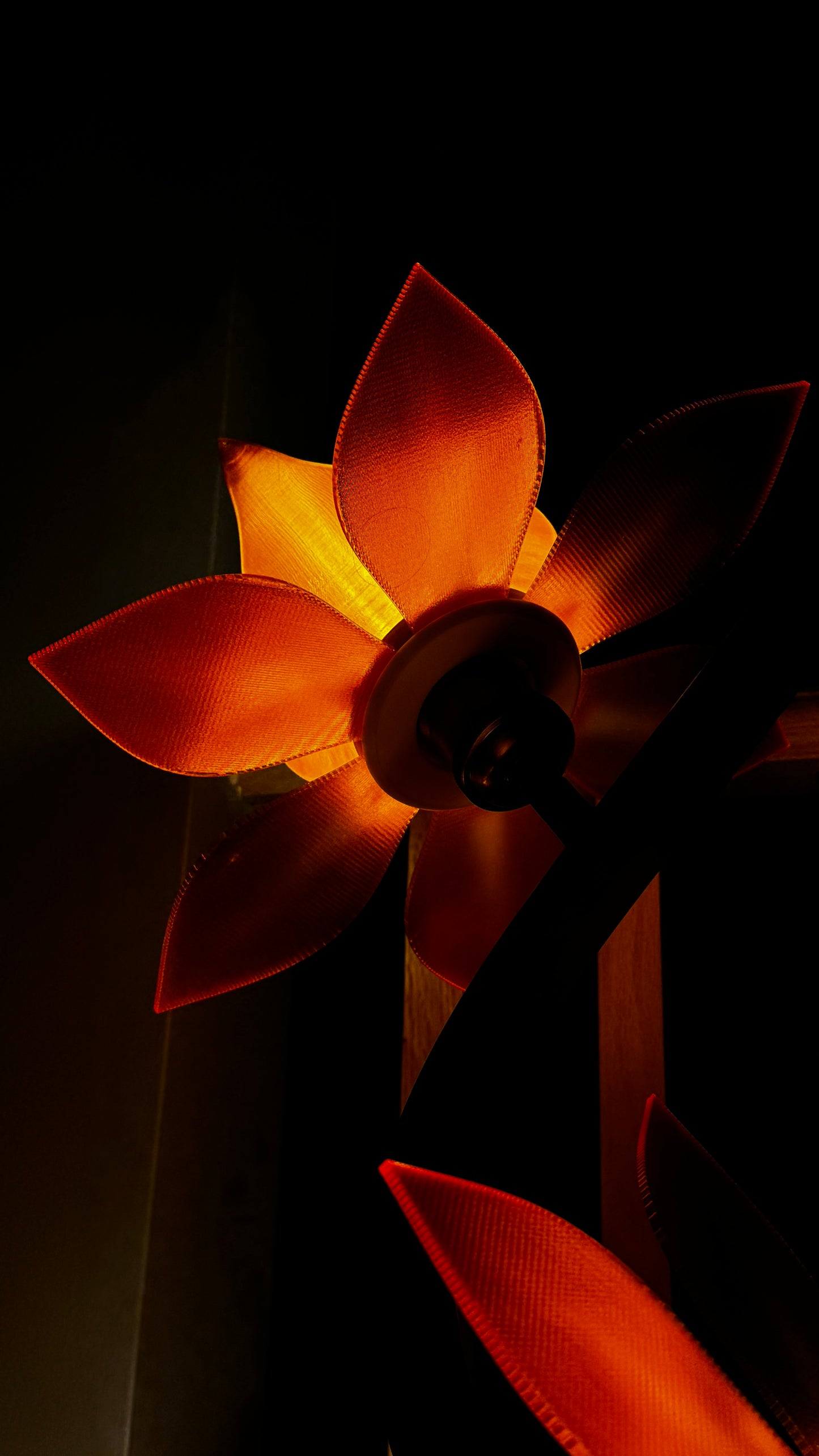 Six Lotus Collection - Lotus Lamp