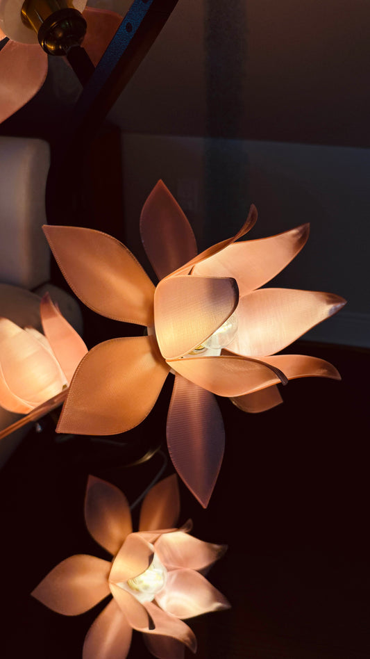 Six Lotus Collection - Lotus Lamp